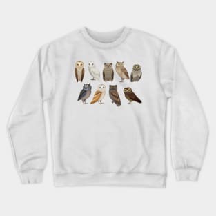 Owls Collection Crewneck Sweatshirt